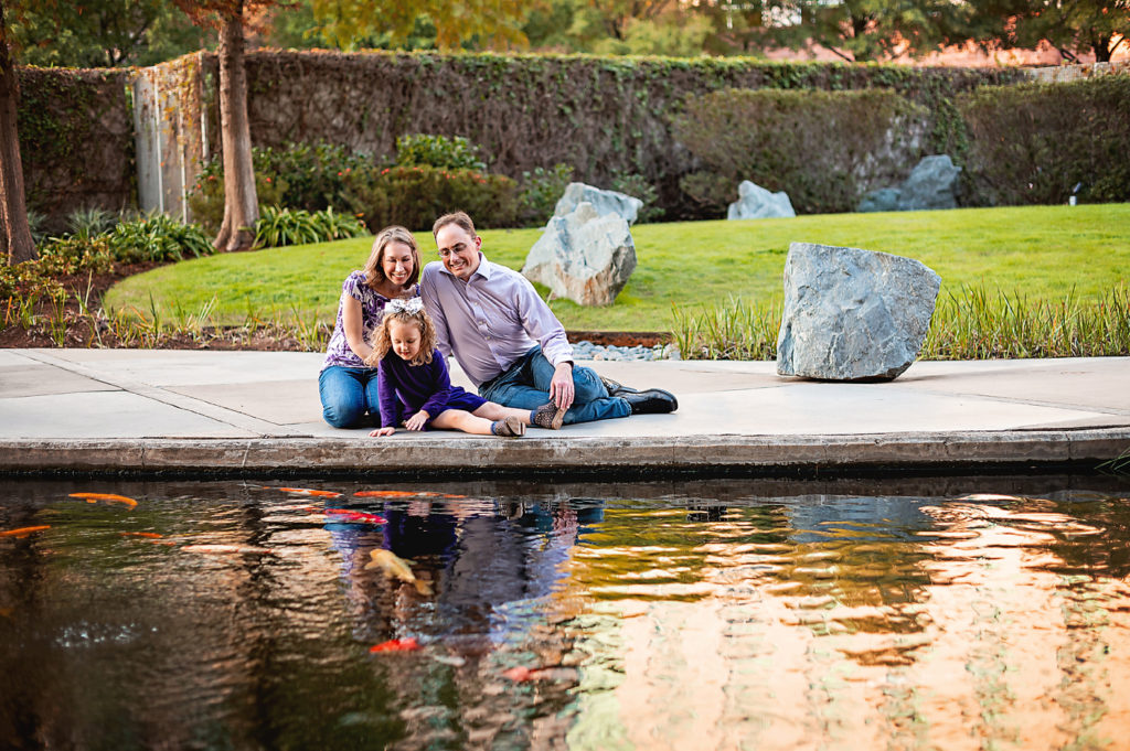 golden hour photography in the woodlands