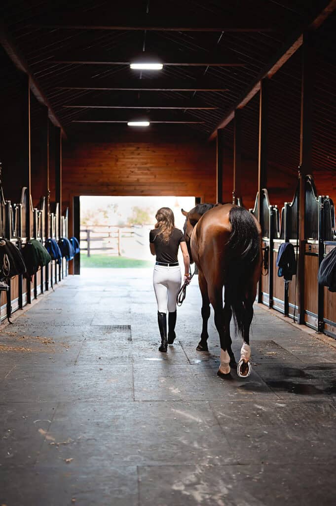 horse in stable with senior girl