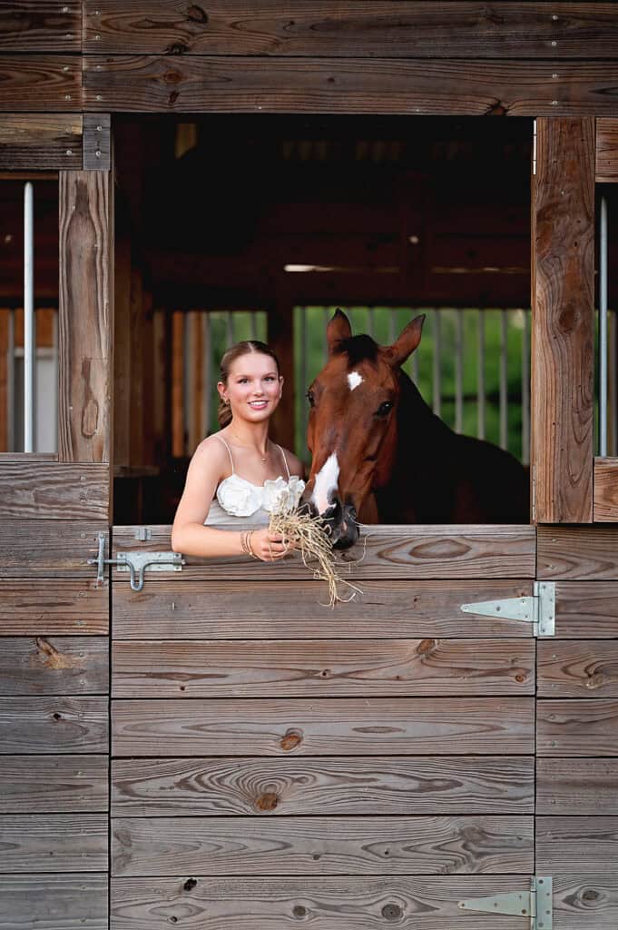 feeding horses photos